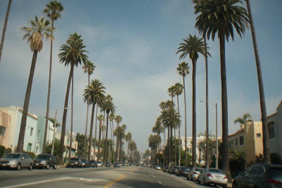 Row of parked cars in a Museum Row lot with tall palm trees along Wilshire Boulevard