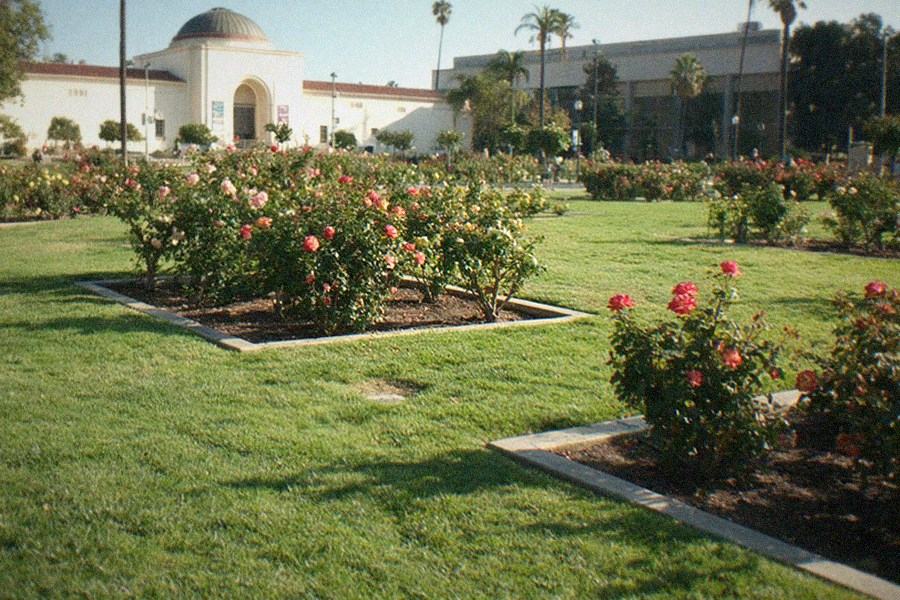 Visitors walking through the plaza between the gallery buildings of the Los Angeles County Museum of Art