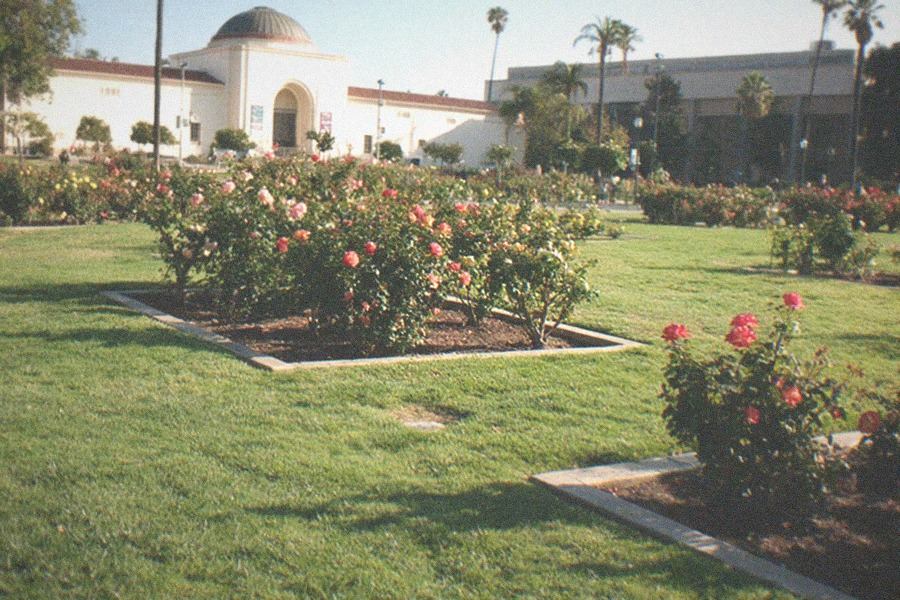 Palm-lined paths and museum buildings across a park lawn