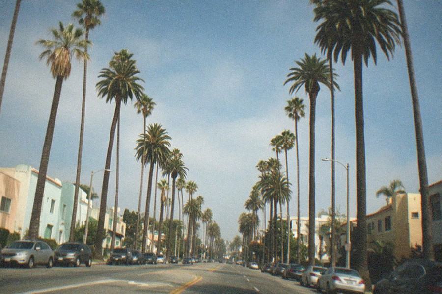 Urban boulevard with a large museum building, palm trees and the urban lights sculpture