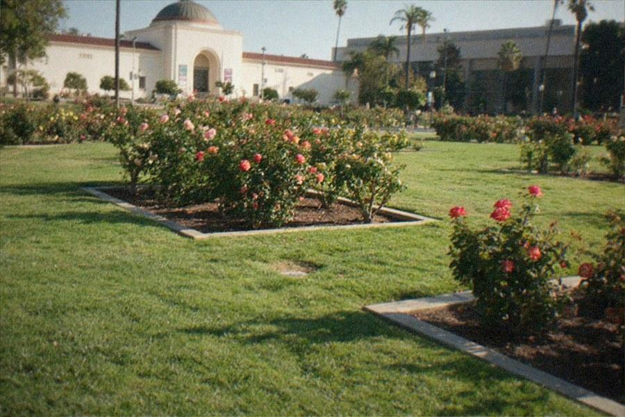 Formal garden with clipped hedges, a reflecting pool and a museum building behind.