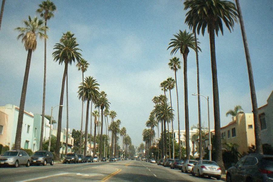 Museum exterior with palm trees and visitors approaching the entrance