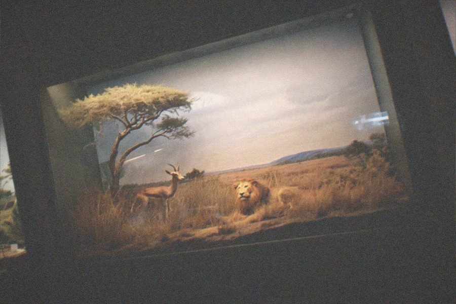 Natural History Museum
